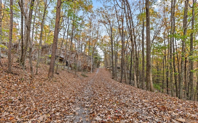 3868 Hobbstown Rd, Dunlap, TN 37327 - view of local wilderness