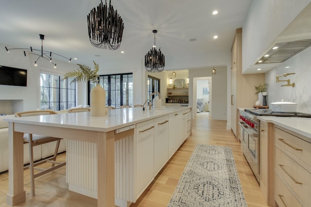 kitchen featuring a healthy amount of sunlight, high end stainless steel range oven, a large island, and sink