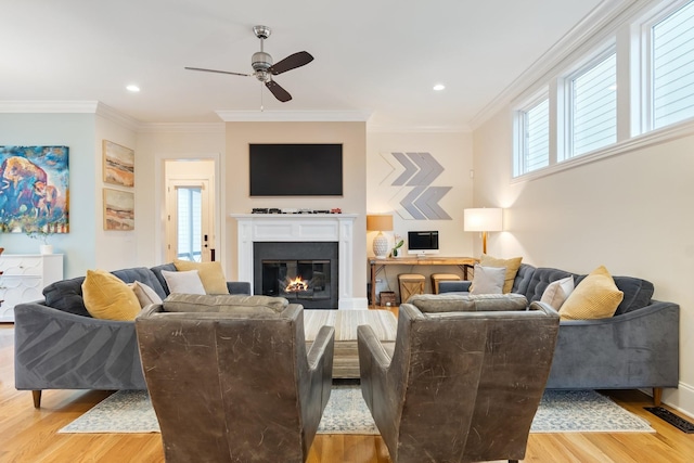 living room with light hardwood / wood-style flooring, ceiling fan, and crown molding