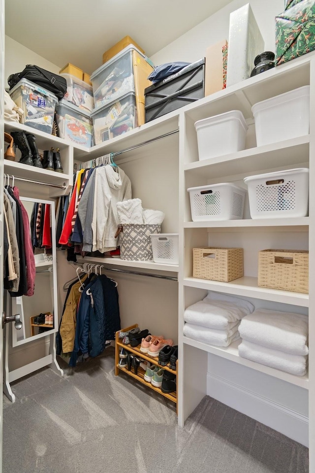 spacious closet featuring carpet