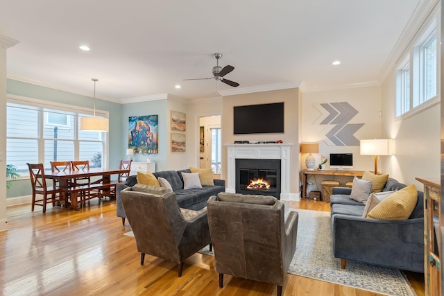 living room featuring ceiling fan, crown molding, and light hardwood / wood-style flooring