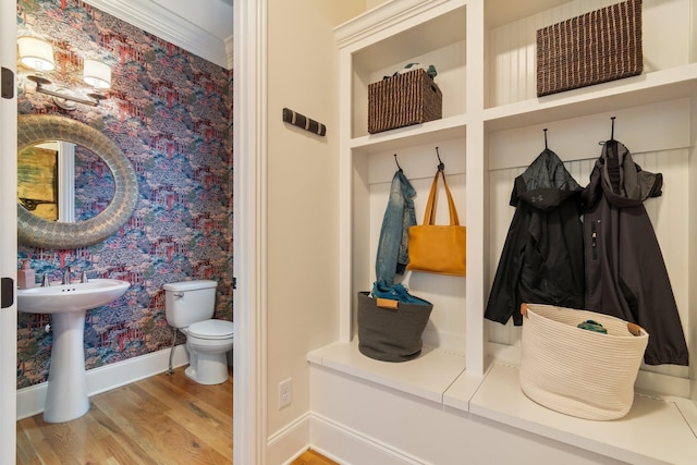 mudroom with ornamental molding and light wood-type flooring