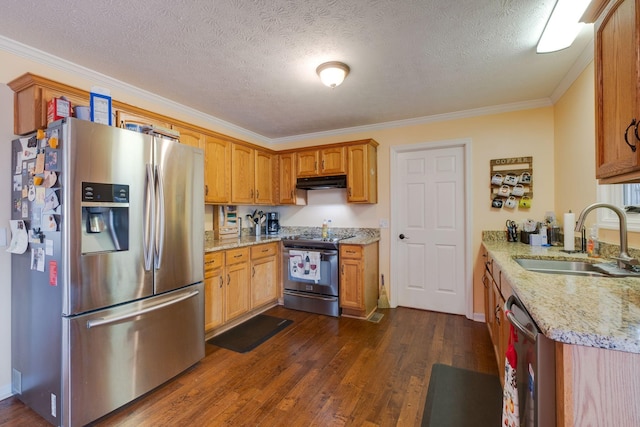 kitchen with sink, ornamental molding, stainless steel appliances, and dark wood-type flooring