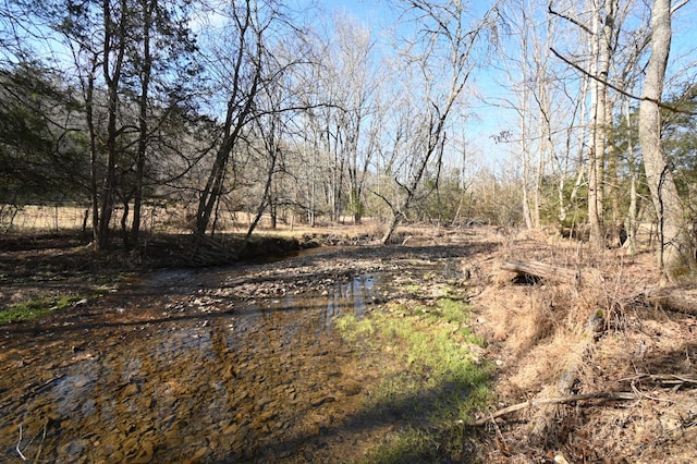 view of nature