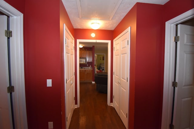 hall featuring dark hardwood / wood-style flooring and a textured ceiling