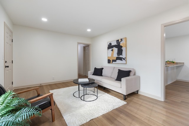 living room featuring light hardwood / wood-style flooring