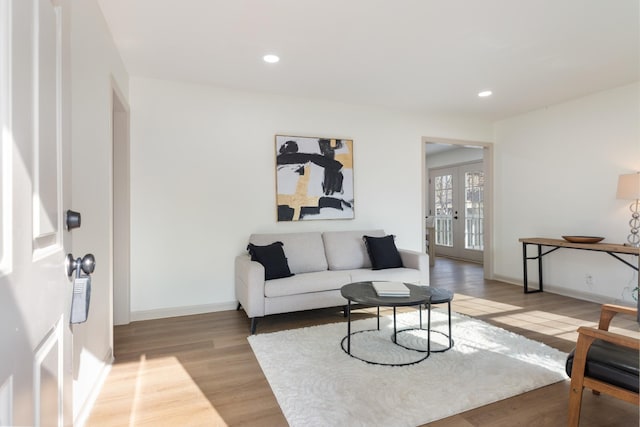 living room with light hardwood / wood-style flooring and french doors