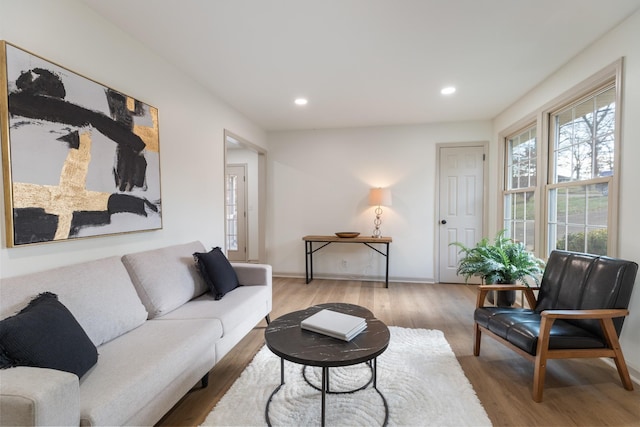 living room featuring wood-type flooring