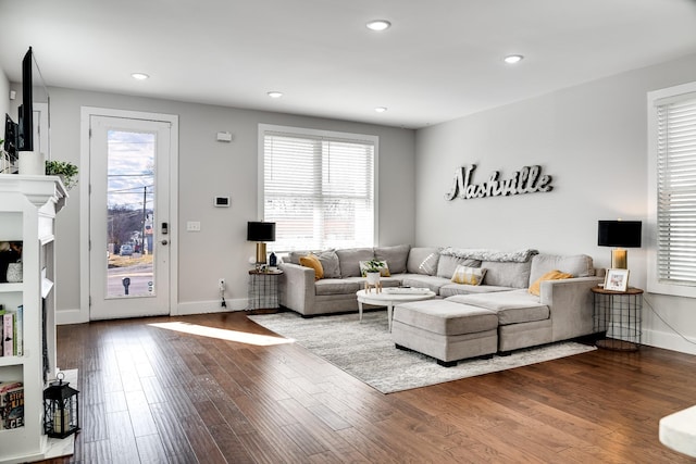 living room featuring wood-type flooring