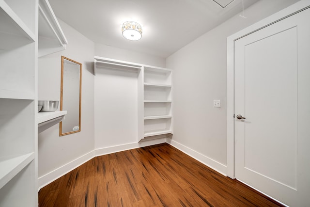 walk in closet featuring wood-type flooring