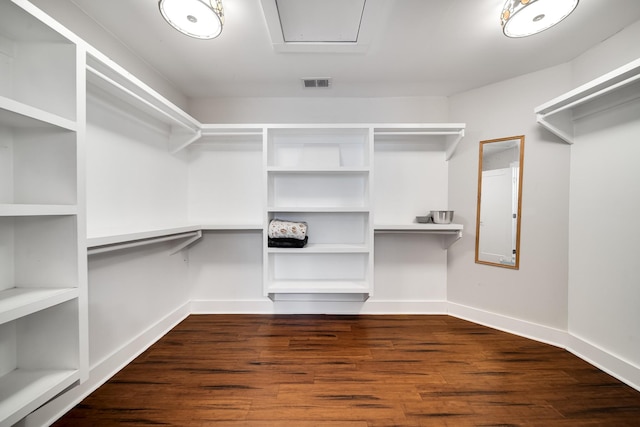 walk in closet with dark hardwood / wood-style flooring