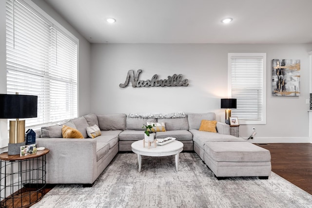 living room featuring hardwood / wood-style floors