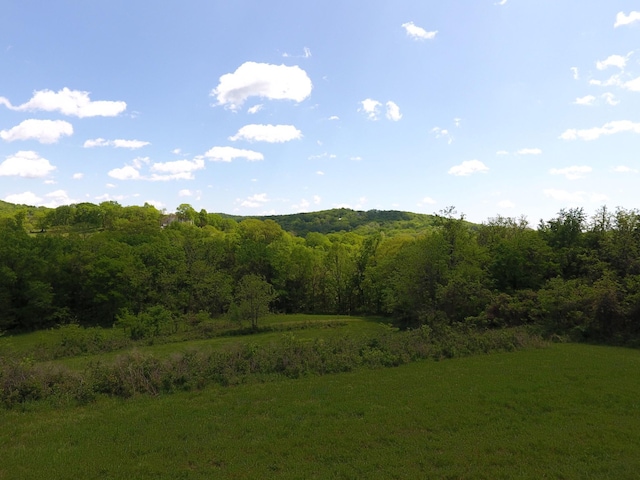 1704 Burke Hollow Rd, Nolensville TN, 37135 land for sale