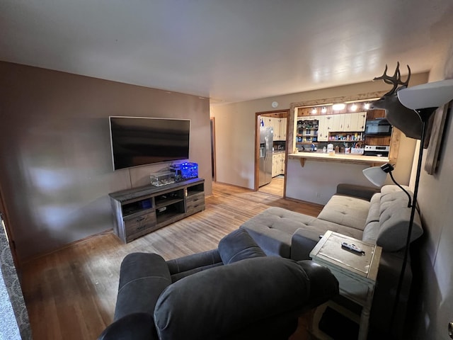 living room featuring light hardwood / wood-style floors