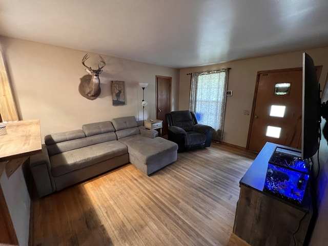 living room with hardwood / wood-style flooring