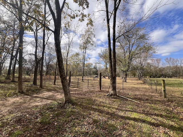 view of yard with a rural view