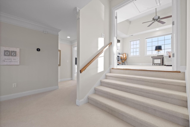 stairway featuring carpet and ornamental molding