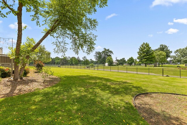 8410 Rambling Rose Dr, Ooltewah, TN 37363 - photo 54