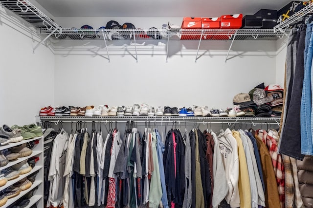 view of spacious closet