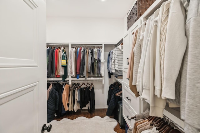 spacious closet with dark hardwood / wood-style floors