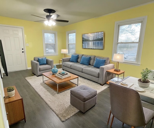 living room featuring ceiling fan and dark wood-type flooring