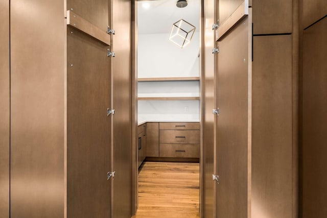 walk in closet with light wood-type flooring