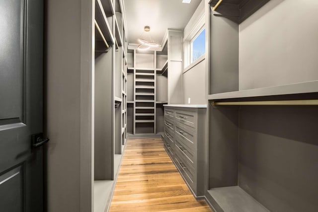 walk in closet with light wood-type flooring