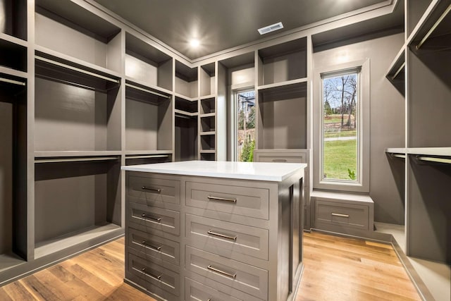 spacious closet featuring light hardwood / wood-style flooring