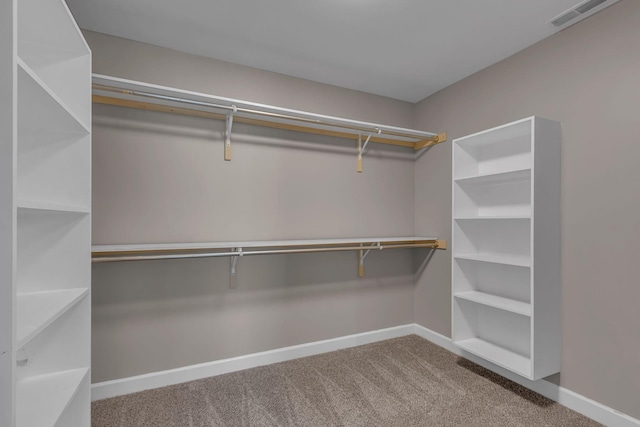 spacious closet featuring carpet