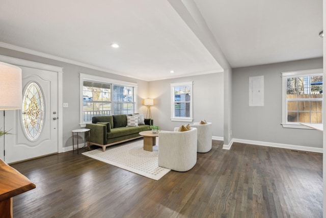 living room featuring crown molding and dark wood-type flooring