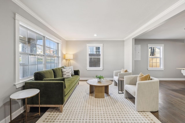 living room with hardwood / wood-style flooring, a healthy amount of sunlight, and crown molding