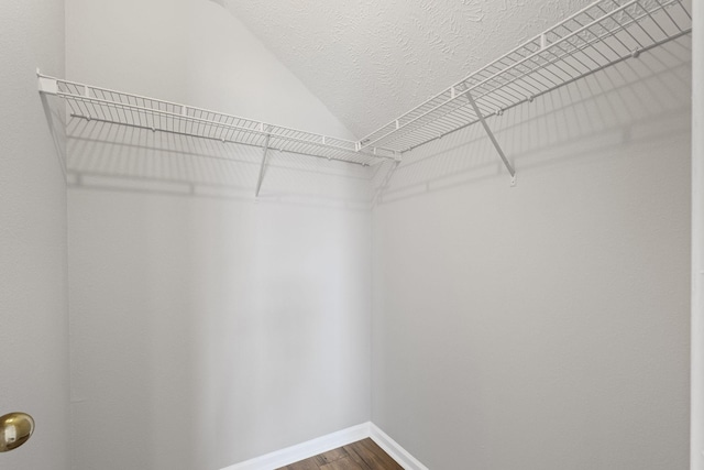 walk in closet with hardwood / wood-style flooring