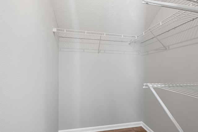 spacious closet featuring wood-type flooring