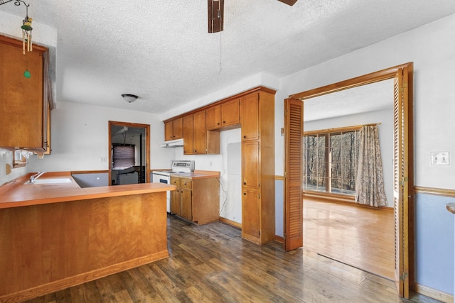 kitchen featuring white electric range oven, a textured ceiling, dark hardwood / wood-style floors, and sink