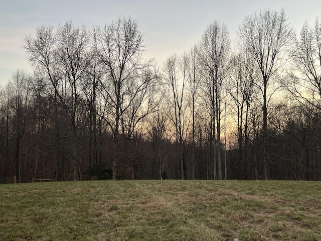 Listing photo 3 for 0 Hog Back Ridge Rd, Bethpage TN 37022