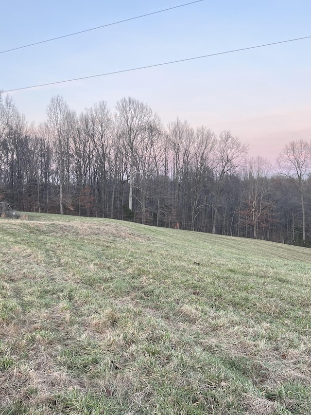 Listing photo 2 for 0 Hog Back Ridge Rd, Bethpage TN 37022