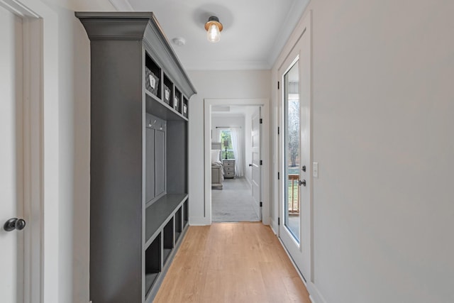 mudroom with wood-type flooring and crown molding