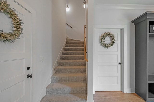 stairs with hardwood / wood-style floors and ornamental molding