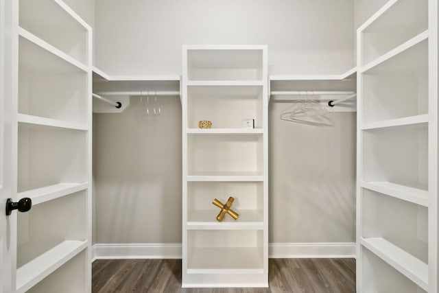 spacious closet with dark hardwood / wood-style flooring