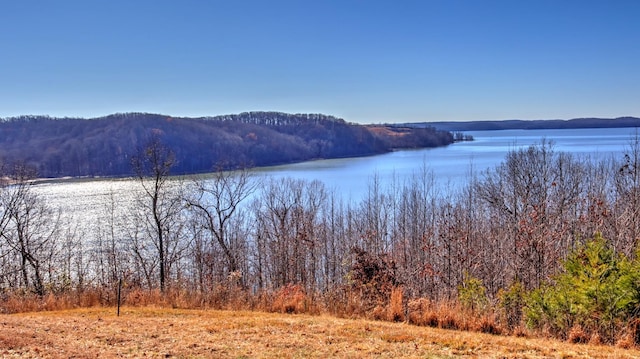 29 River Trace Dr, Dover TN, 37058 land for sale