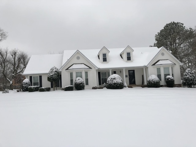 view of cape cod home