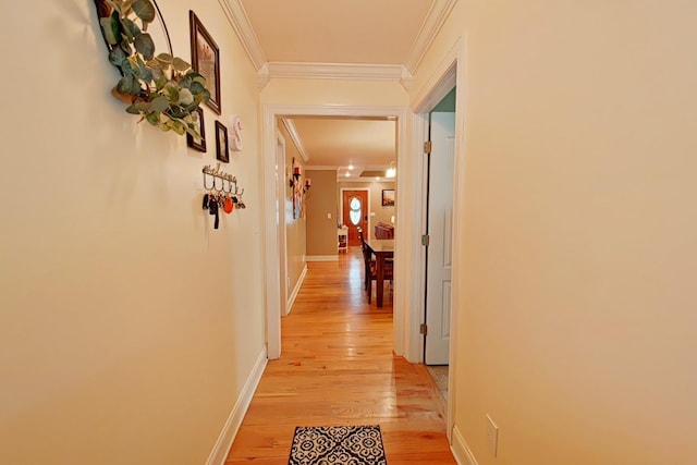 hallway with crown molding and light hardwood / wood-style flooring