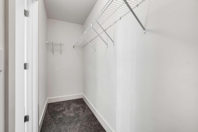 walk in closet with dark carpet