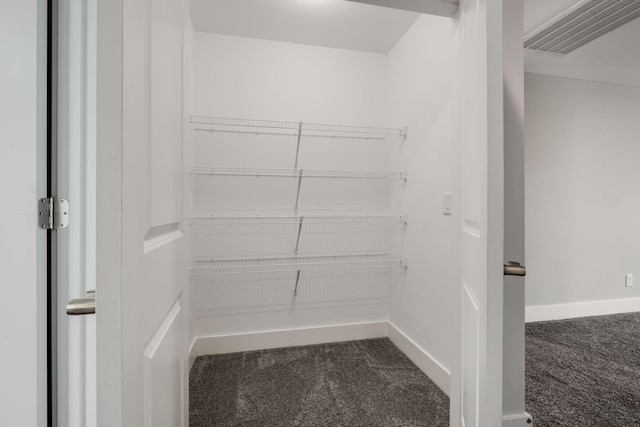 spacious closet with carpet floors