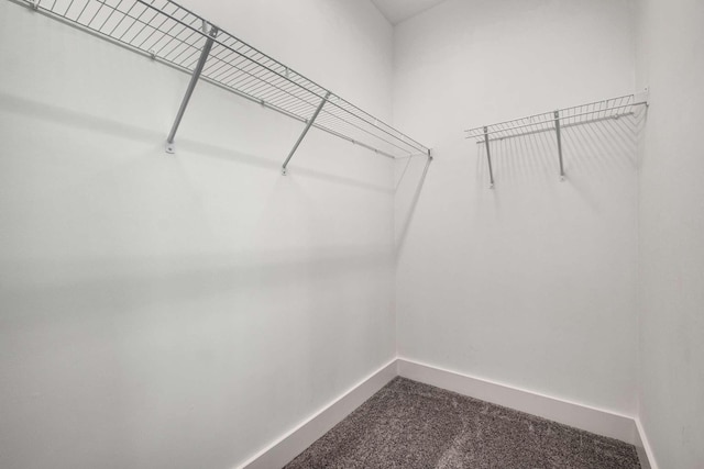 spacious closet with carpet floors