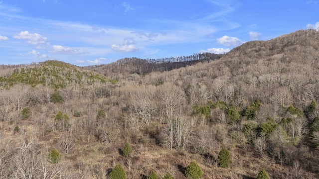 3731 Carter Branch Rd, Hartsville, TN 37074 - photo 28