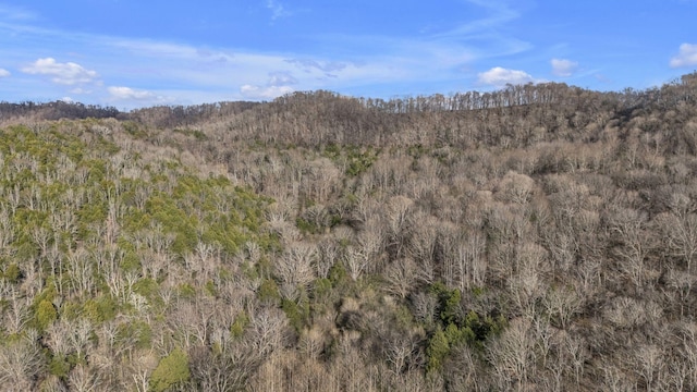 3731 Carter Branch Rd, Hartsville, TN 37074 - photo 21