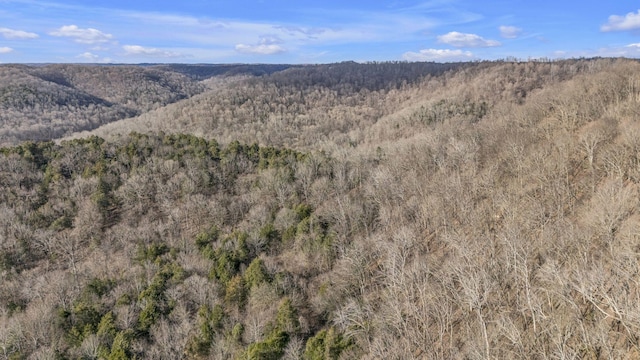 3731 Carter Branch Rd, Hartsville, TN 37074 - photo 29