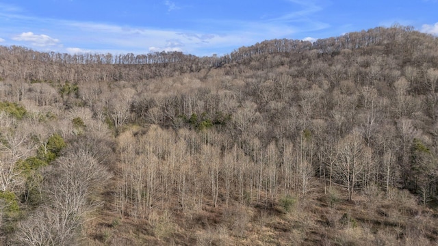 3731 Carter Branch Rd, Hartsville, TN 37074 - photo 22