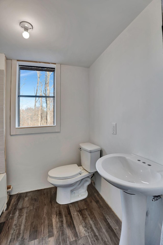 bathroom featuring toilet and hardwood / wood-style flooring